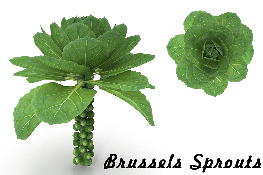 Brussels Sprouts in Food - product preview 8
