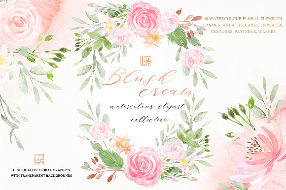 Blush cream flowers. Watercolor in Illustrations - product preview 1