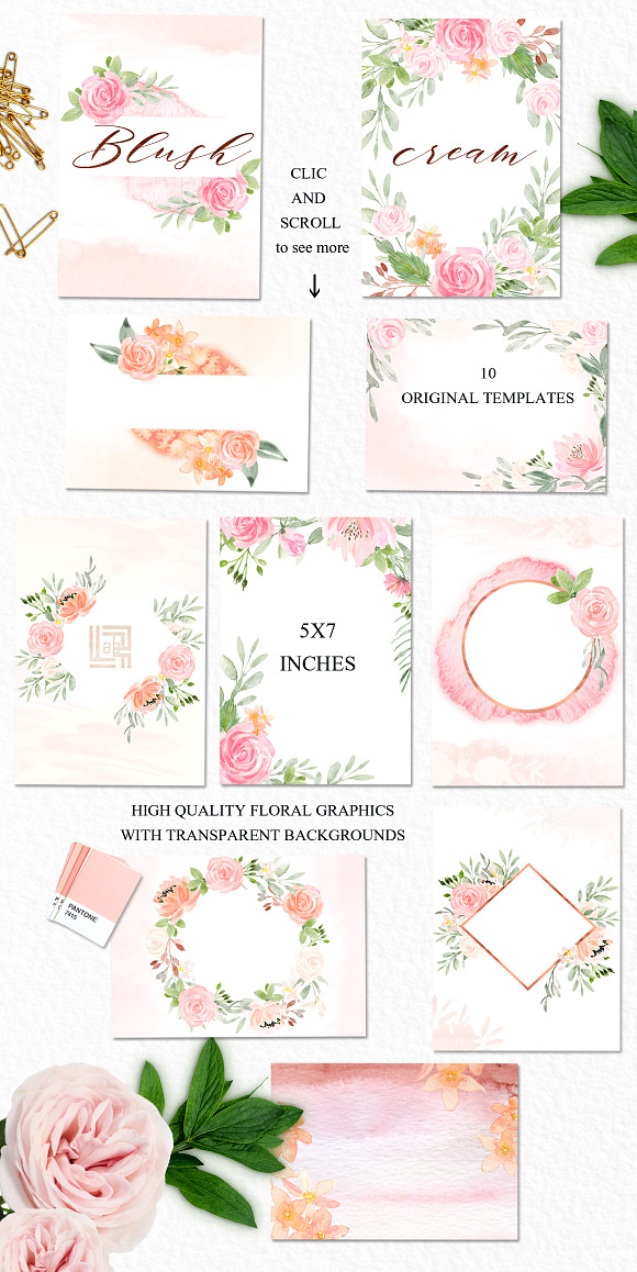 Blush cream flowers. Watercolor in Illustrations - product preview 2