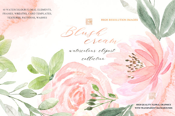 Blush cream flowers. Watercolor in Illustrations - product preview 5
