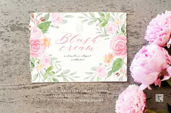 Blush cream flowers. Watercolor in Illustrations - product preview 7