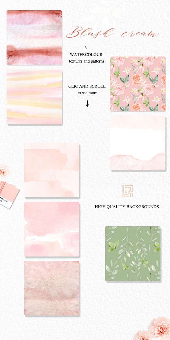 Blush cream flowers. Watercolor in Illustrations - product preview 8