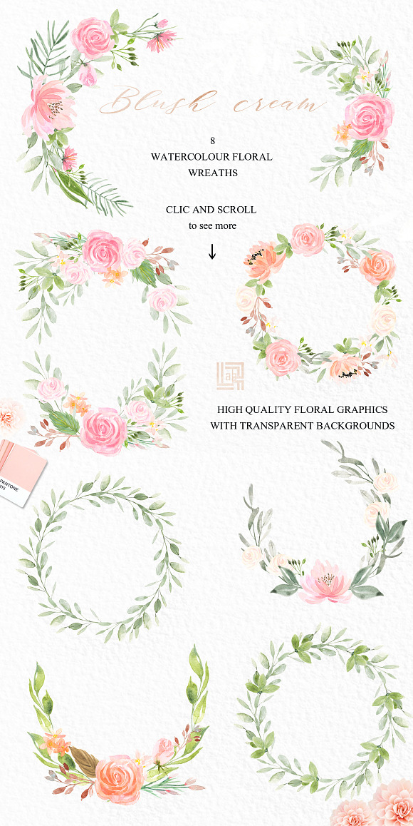 Blush cream flowers. Watercolor in Illustrations - product preview 9