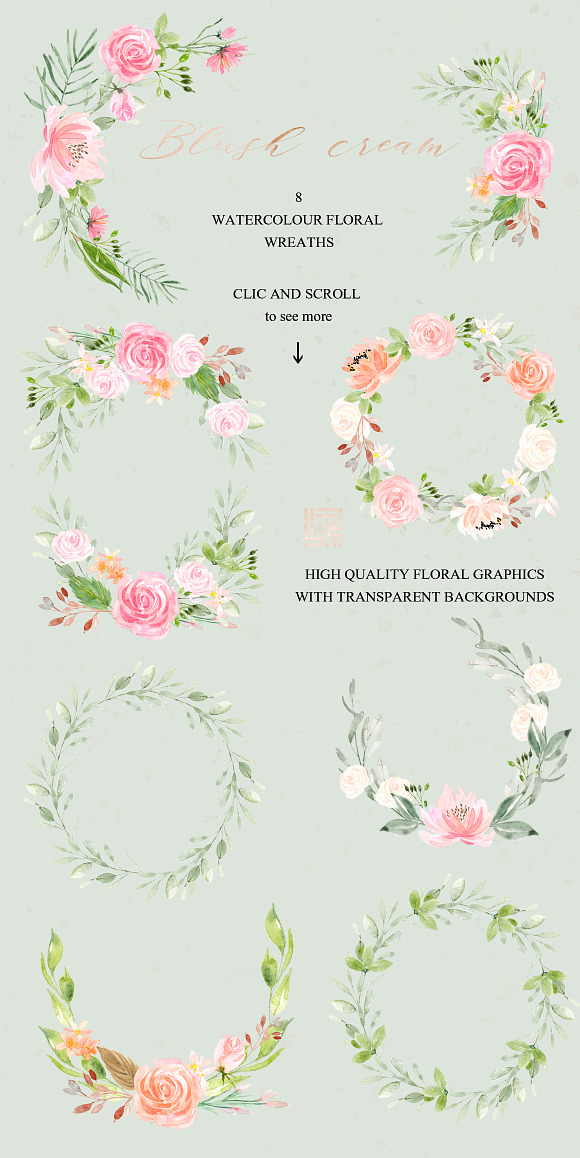 Blush cream flowers. Watercolor in Illustrations - product preview 10