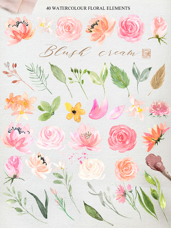 Blush cream flowers. Watercolor in Illustrations - product preview 11