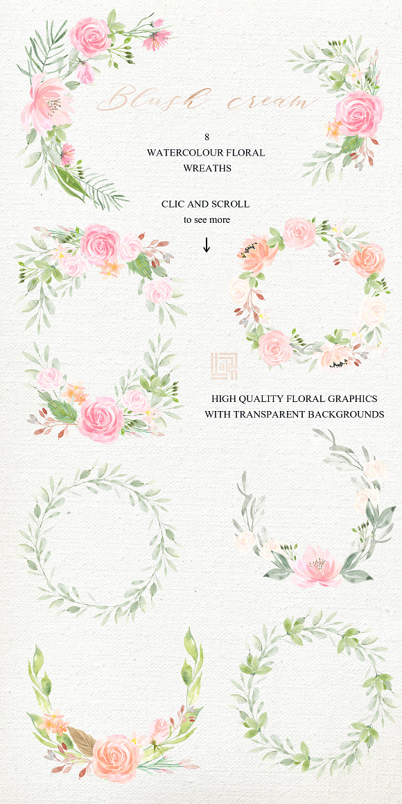 Blush cream flowers. Watercolor in Illustrations - product preview 13