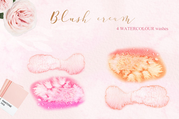 Blush cream flowers. Watercolor in Illustrations - product preview 15
