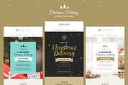 Christmas Delivery Bundle (19 Email)