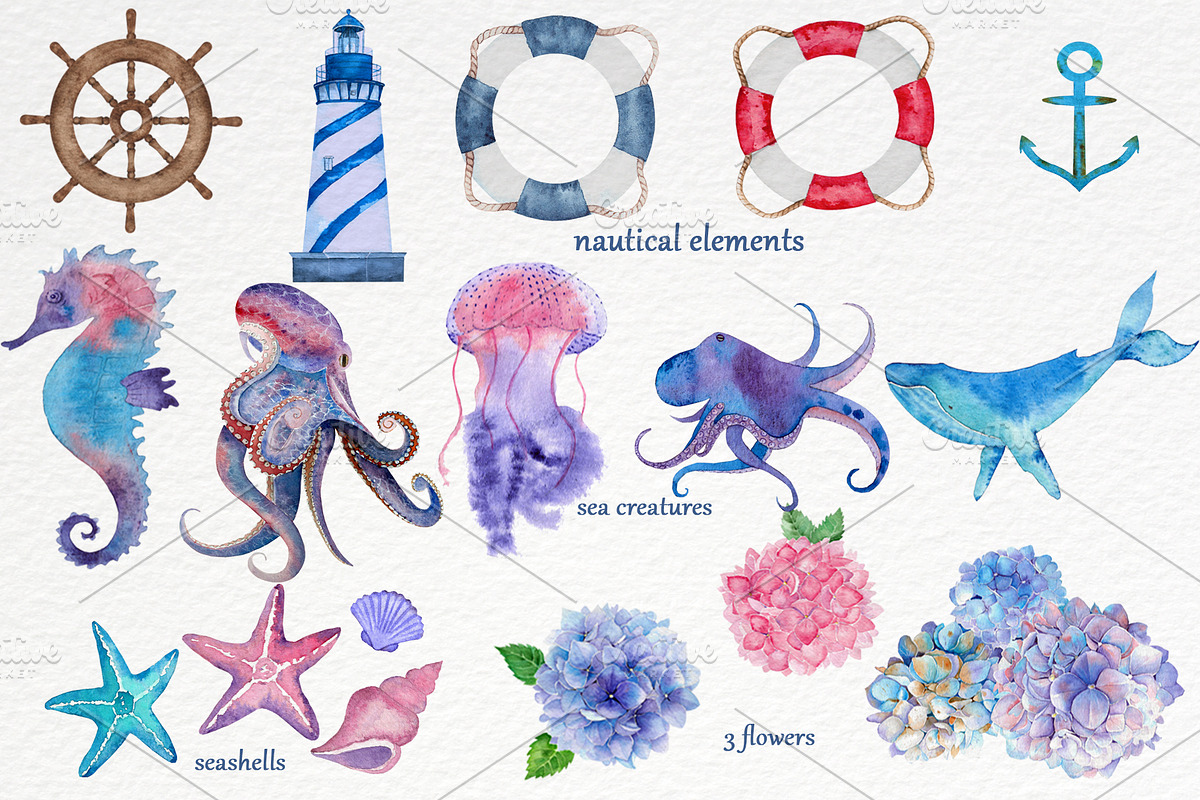 Watercolor nautical set in Illustrations - product preview 8