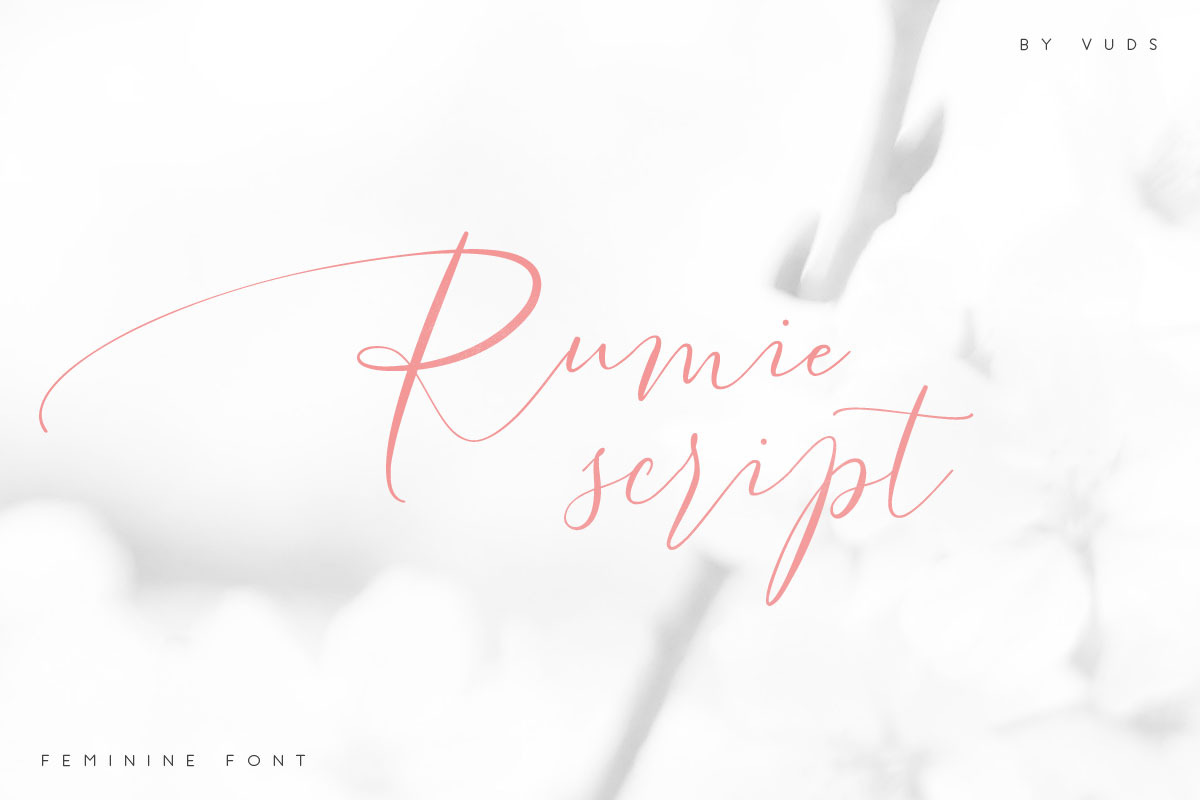 Rumie Script in Script Fonts - product preview 8