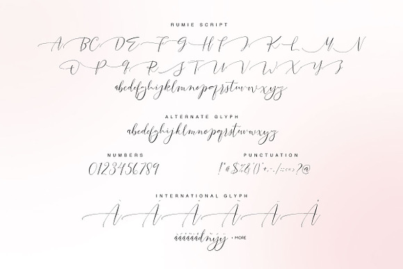 Rumie Script in Script Fonts - product preview 5