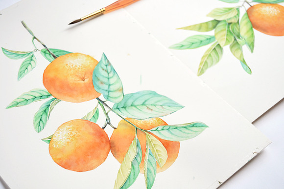 Orange Tree - Botanical Watercolor in Graphics - product preview 2