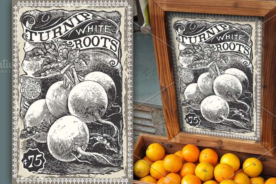 Greengrocer - Turnip Advertising in Illustrations - product preview 8