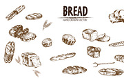 Bundle of 15 bread vector set 4