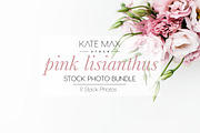 Pink Flower Stock Photo Bundle