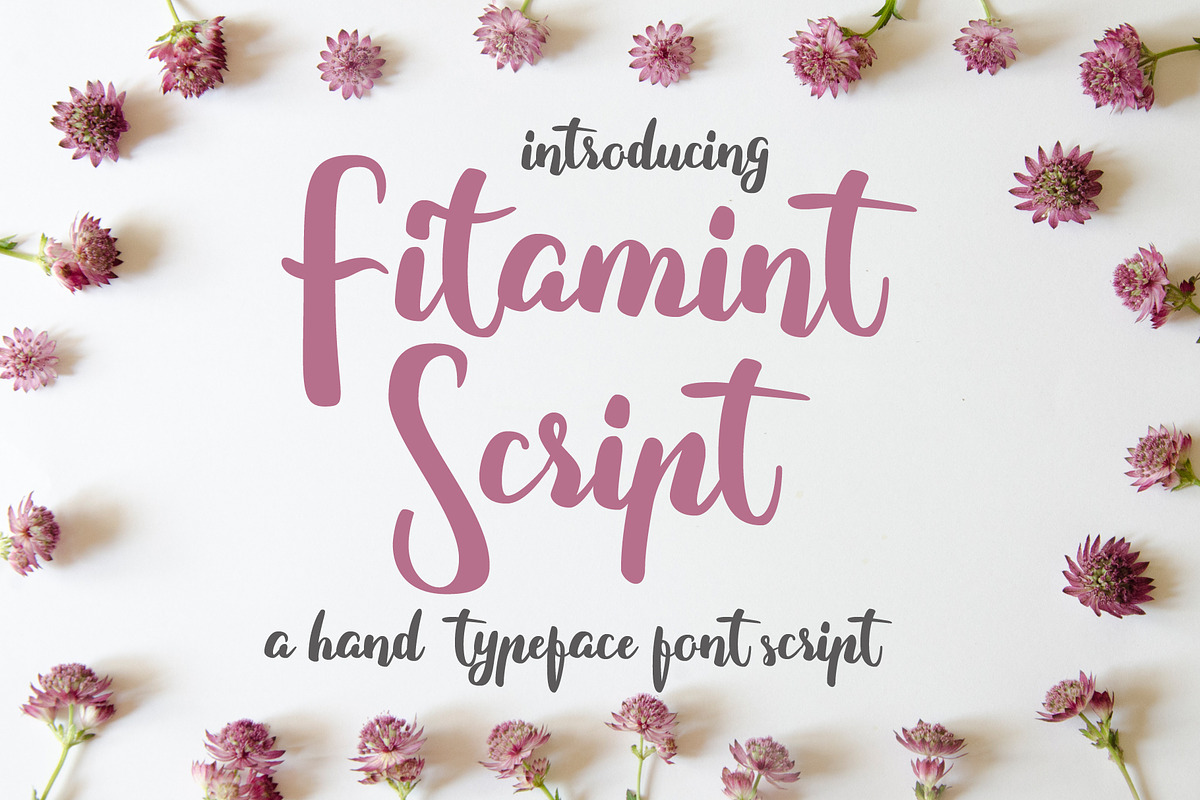 Fitamint - Script in Twitter Fonts - product preview 8