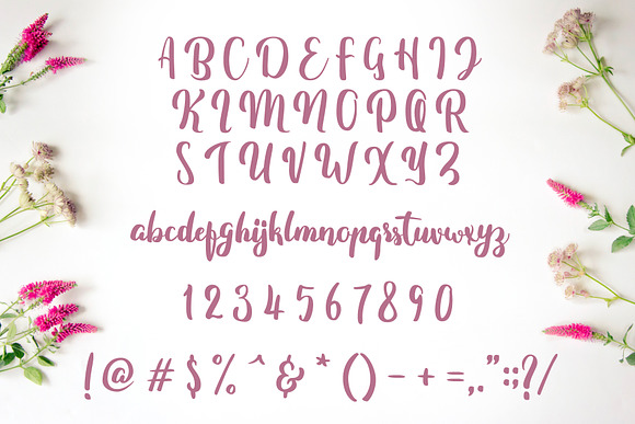 Fitamint - Script in Twitter Fonts - product preview 1