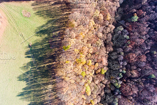 Aerial view of colorful autumn forest.