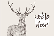 Illustration of a noble deer