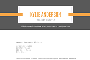 2 in 1 banner icon Word resume
