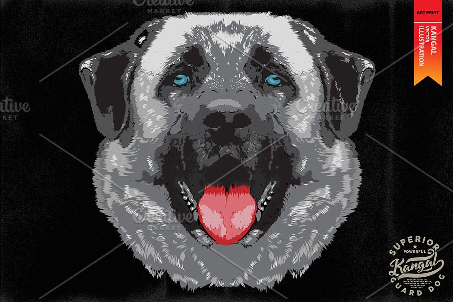 KANGAL - Vector illustration in Illustrations - product preview 8