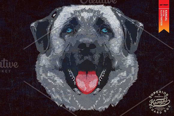 KANGAL - Vector illustration in Illustrations - product preview 1