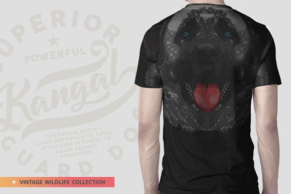 KANGAL - Vector illustration in Illustrations - product preview 5