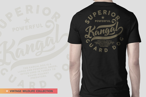 KANGAL - Vector illustration in Illustrations - product preview 6