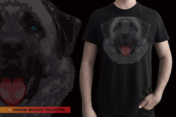 KANGAL - Vector illustration in Illustrations - product preview 7