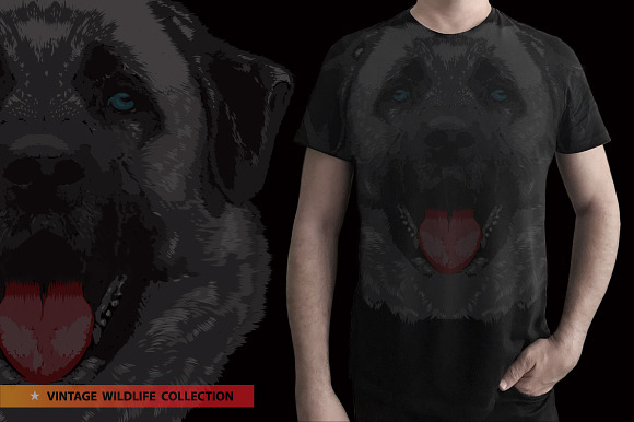 KANGAL - Vector illustration in Illustrations - product preview 8