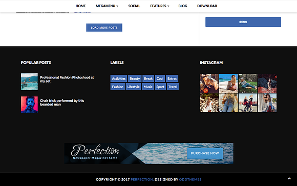 Perfection Premium Blogger Template in Website Templates - product preview 2