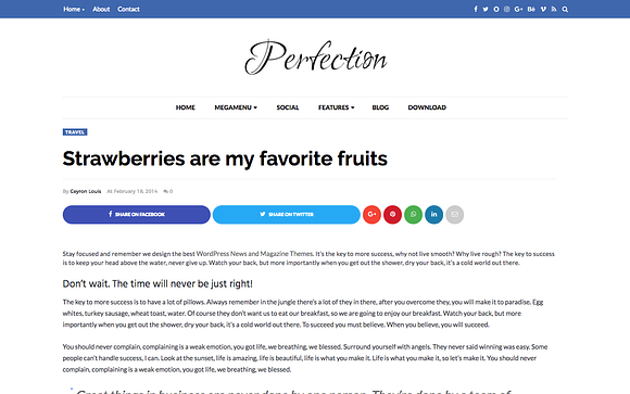 Perfection Premium Blogger Template in Website Templates - product preview 3