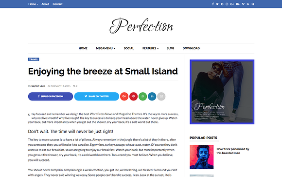 Perfection Premium Blogger Template in Website Templates - product preview 5