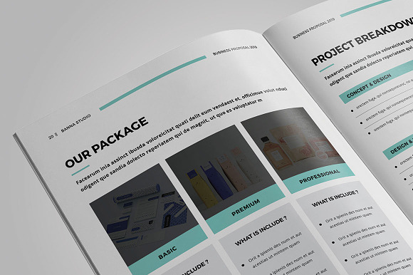 Project Proposal in Brochure Templates - product preview 11