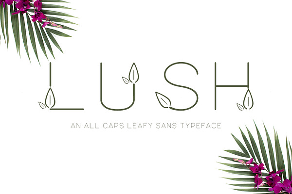 Lush Sans Typeface