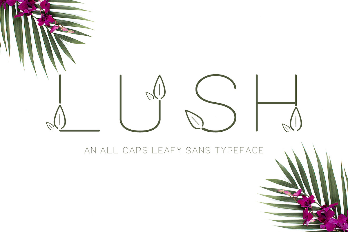 Lush Sans Typeface in Fonts - product preview 8