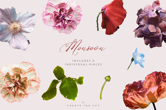 Digital Floristry - Monsoon in Illustrations - product preview 6