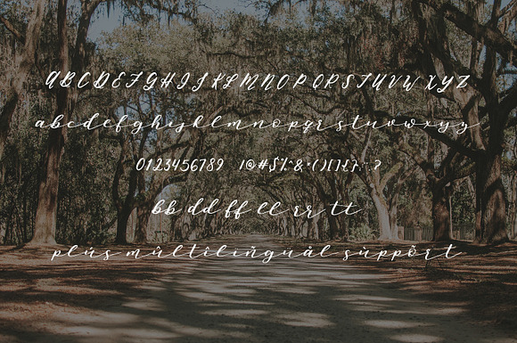 Oh, Savannah! Signature Script in Script Fonts - product preview 5