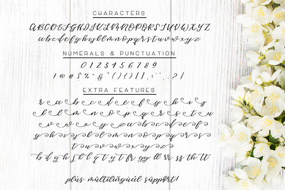 Sweet Jasmine Script in Script Fonts - product preview 3