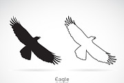 Vector of the eagle. Bird.