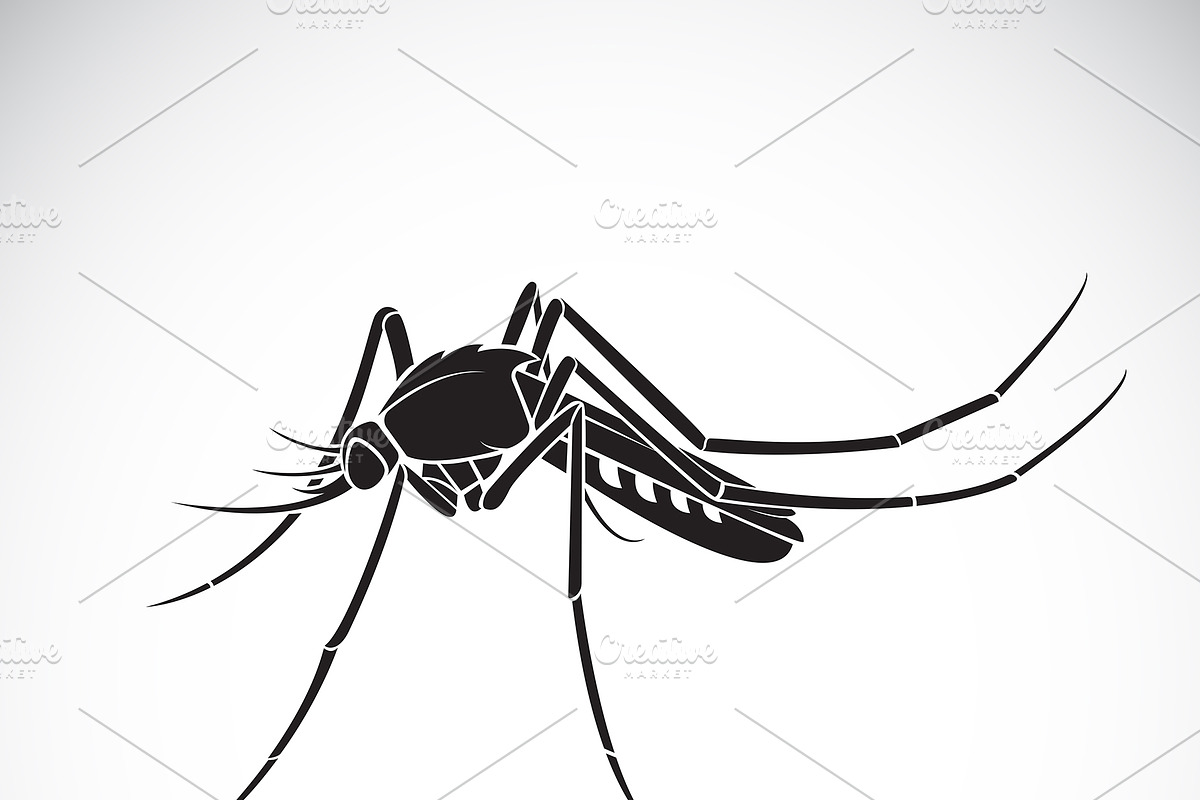 Vector of a Mosquito design. in Graphics - product preview 8