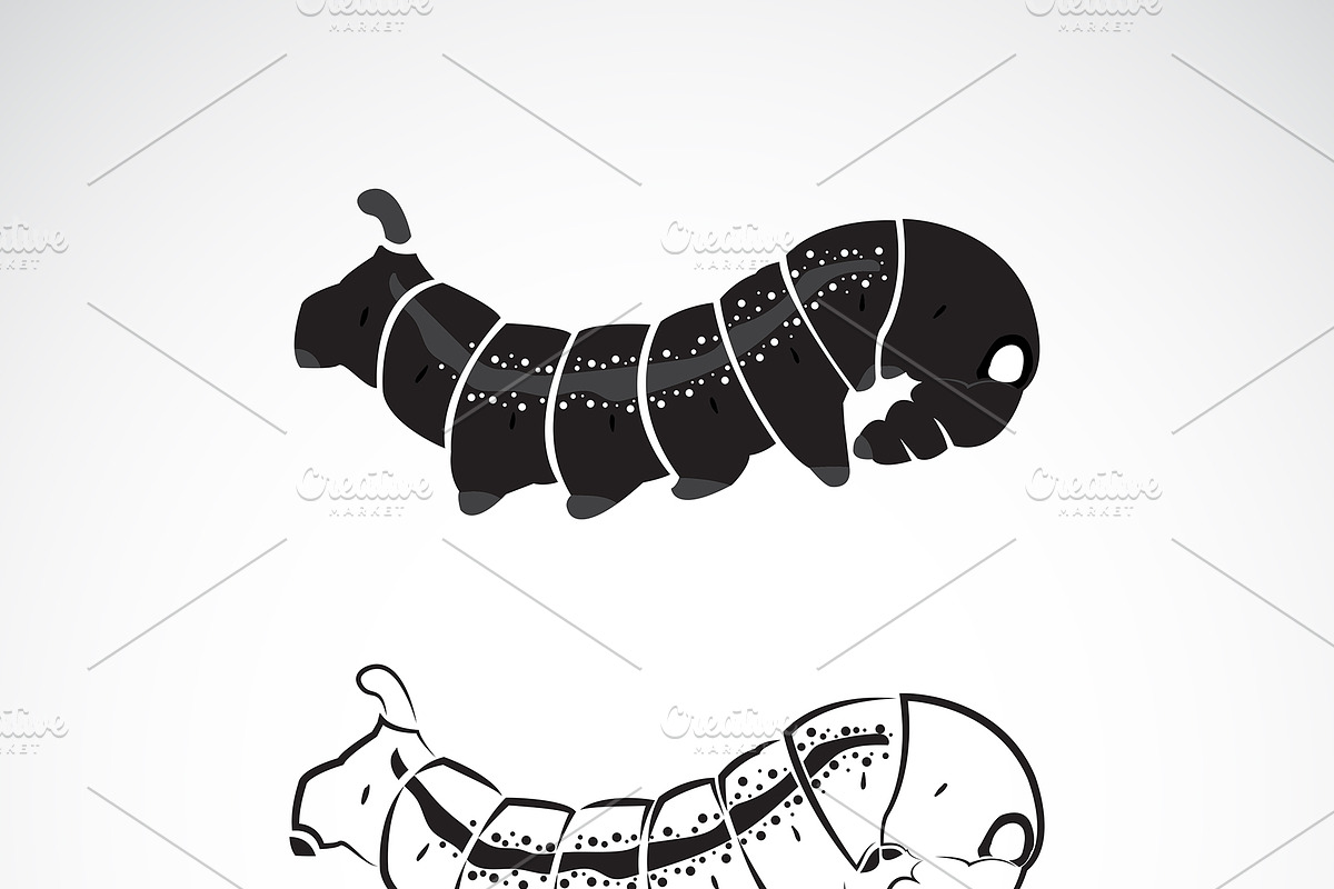 Vector of two caterpillar. in Graphics - product preview 8