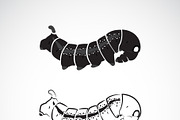 Vector of two caterpillar.