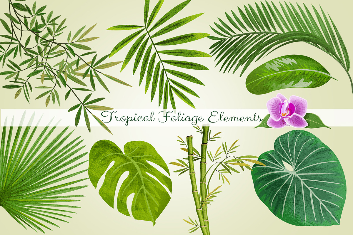 Tropical Foliage PNGGraphic Elements in Objects - product preview 8