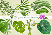 Tropical Foliage PNGGraphic Elements