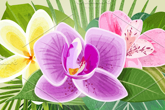 Tropical Foliage PNGGraphic Elements in Objects - product preview 1