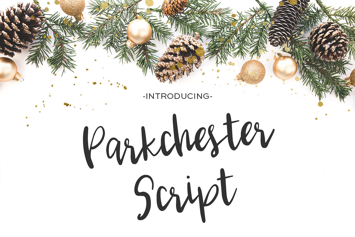 Parkchester Script in Script Fonts - product preview 8