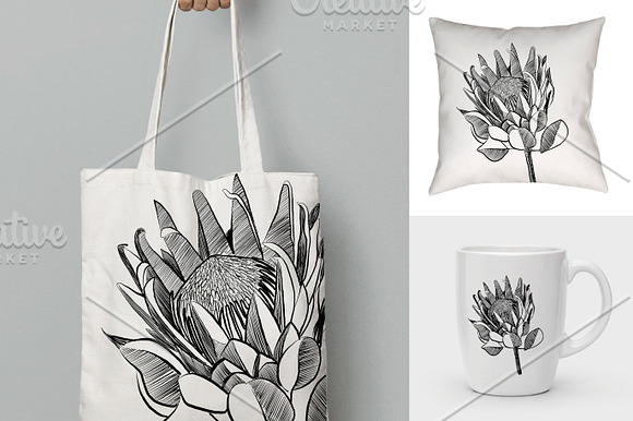Protea Illustration Vector in Illustrations - product preview 2