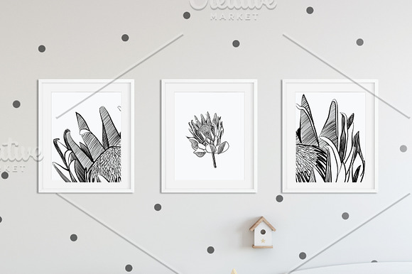 Protea Illustration Vector in Illustrations - product preview 3
