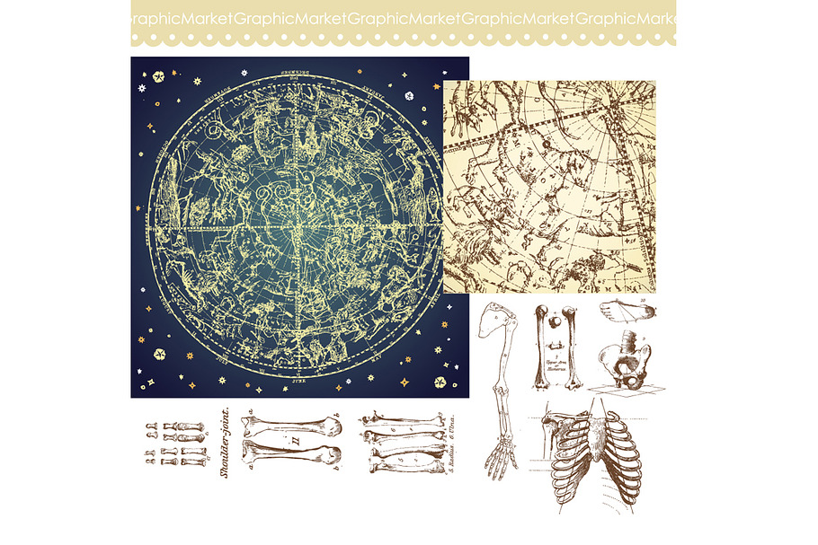 Human Skeleton, Bones, Celestial Map
